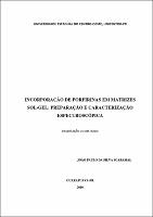 Joao Paulo Silva Scaramal.pdf.jpg