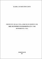 Dissertação Final - Kamila Rodrigues Leite.pdf.jpg