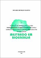 Dissertação corrigida Eduardo Martins.pdf.jpg