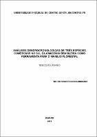 Tese Victor Hugo Ferreira Andrade.pdf.jpg