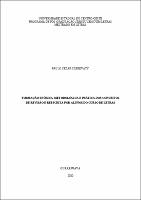 Dissertação - Paulo Cezar.pdf.jpg