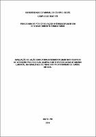 Rodrigo de Assis Bayer - Dissertação.pdf.jpg