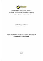 Caroline Gianna da Silva Dissertação Versão final.pdf.jpg