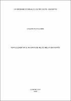 Dissertação GISLAINE PUCHOLOBEK.pdf.jpg