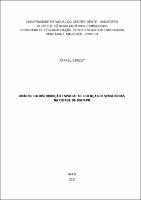 dissertação Rafael Obrzut.pdf.jpg