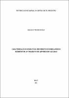 dissertação  Elisiane Vendruscolo.pdf.jpg