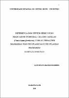 Dissertação Alice Regina Machado Rabbers.pdf.jpg