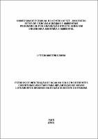 Dissertação - Letícia Martini Gamba.pdf.jpg