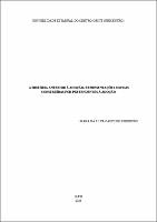 Dissertação - Luana Castilho.pdf.jpg