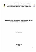 Dissertação - Luma Miranda.pdf.jpg