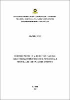 Graziela Nunes - Dissertação Versão Final.pdf.jpg