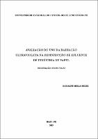 Dissertação Karoline Mello Milek.pdf.jpg