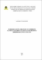 Dissertação Luiz Augusto Klosowski.pdf.jpg