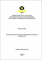 DISSERTAÇÃO FERNANDO STORA.pdf.jpg