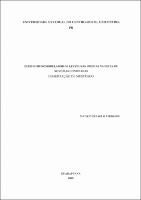 Dissertação Mauricio Paulo Virmond.pdf.jpg