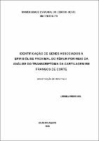 Dissertação LUDMILA MUDRI HUL.pdf.jpg