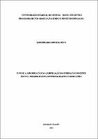 Dissertação - Luis Eduardo Bussolotto.pdf.jpg